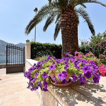 Maniva Penthouse By The Sea Apartment โกตอร์ ภายนอก รูปภาพ